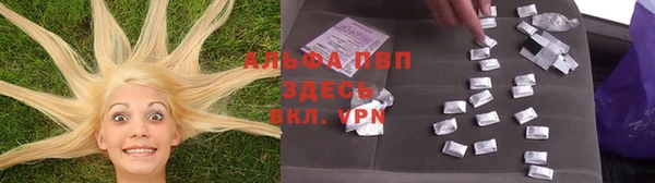крисы Ладушкин