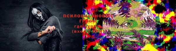 крисы Ладушкин