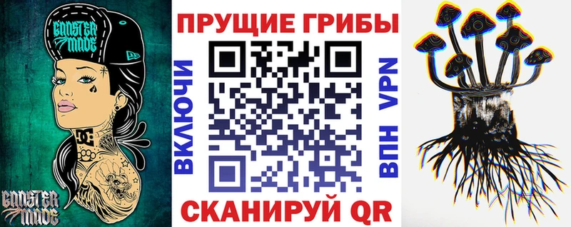 Купить  Ковдор  Псилоцибиновые грибы Psilocybe 