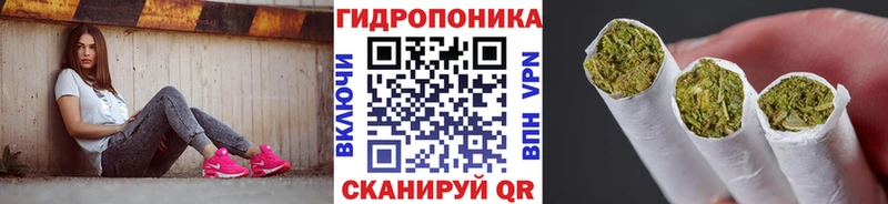 Купить где  Ковдор  Канабис SATIVA & INDICA 